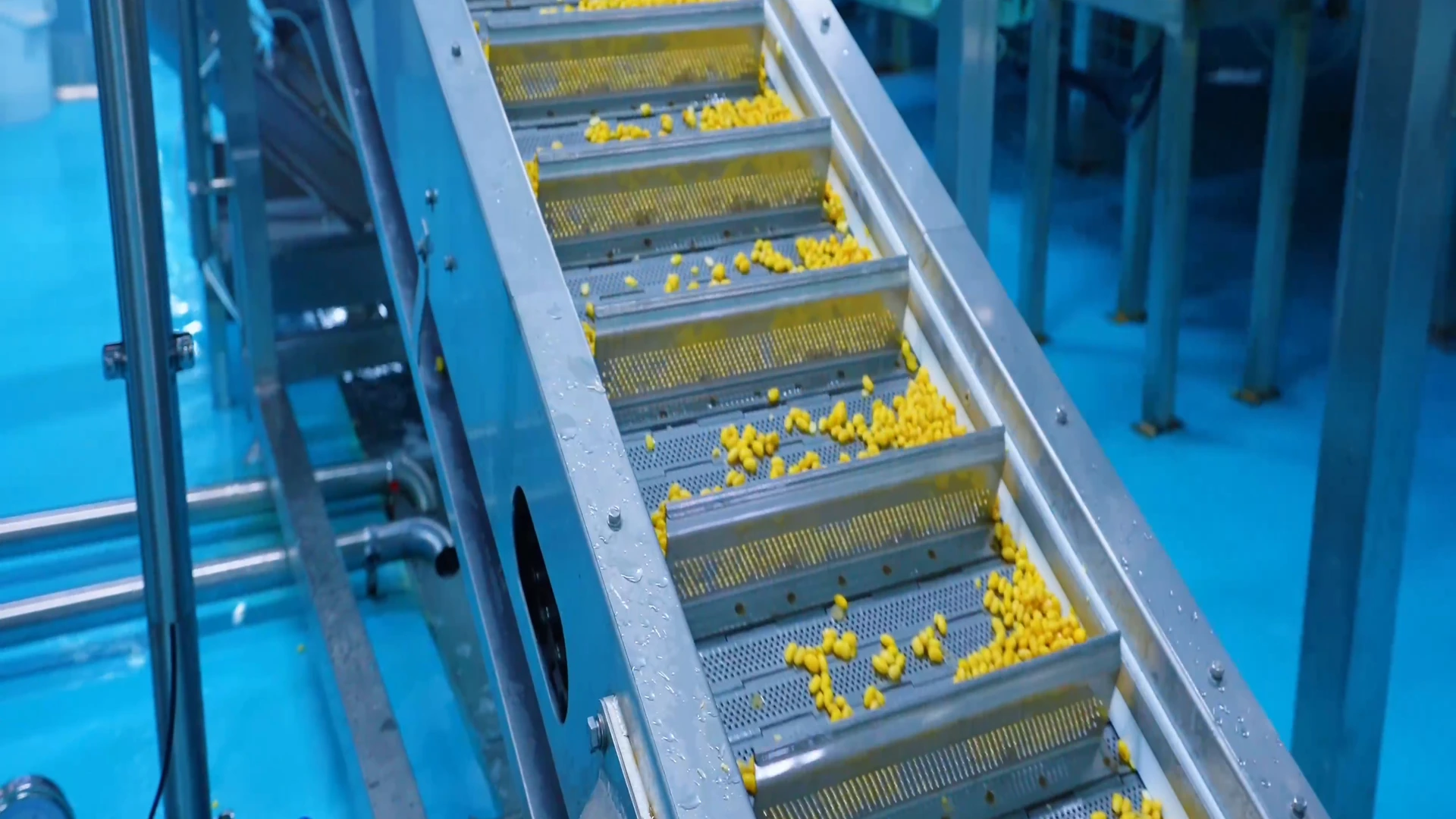 Carefully selected soybeans